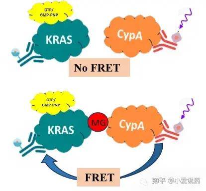 卓兆点胶获得发明专利授权：“一种含氟橡胶材料及其制备方法”