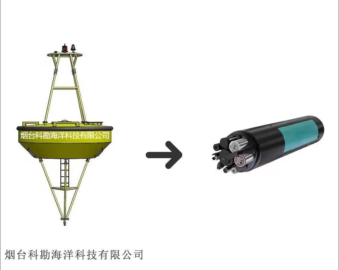 俄罗斯扑克牌APP-海洋多参传感器：揭秘深海的多重奥秘